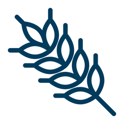 Barley-icon