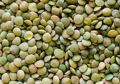 Grain
